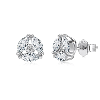 Orecchini Donna in Argento Cubic Zirconia EASUR01